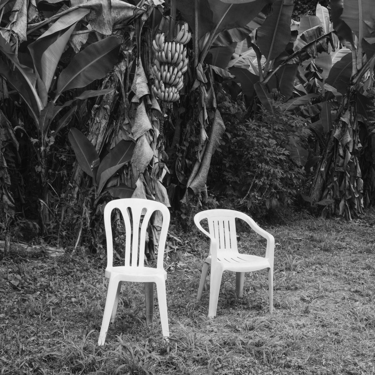 que se vayan ellos: postcolonialism in bad bunny’s new album